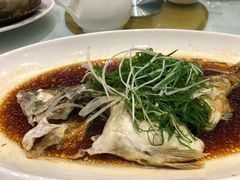 -鹅城
