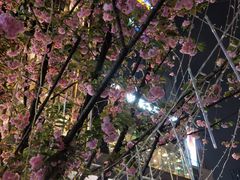 -KKV(重庆东原悦荟主力店)