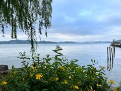 -东钱湖小普陀景区