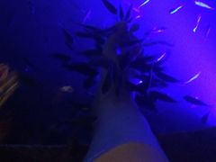 -宝丽金大酒店·洗浴中心