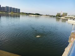 -映月湖中央公园