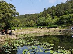 -韶山毛泽东同志故居
