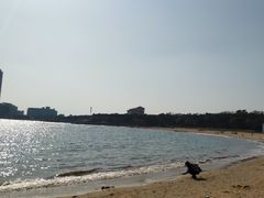 -青岛第二海水浴场