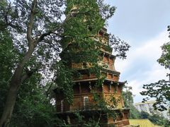 -宝通禅寺