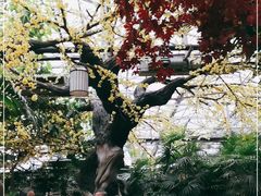 -世外桃源农庄·德清土菜(兴康南路店)