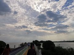 -贡湖湾湿地公园
