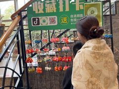 -椿记烧鹅(叠彩店)