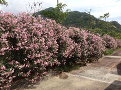 iphone_upload_pic-江门古兜温泉小镇