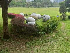 -荔香公园