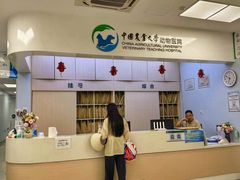 -中国农业大学动物医院