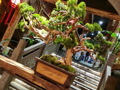 -巴国九王爷火锅(万盛总店)