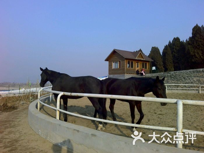 济南国际赛马场酒店图片