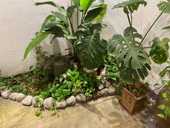 -如禾素食·下午茶·糖水
