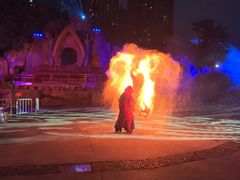 -海合安成都极地海洋公园