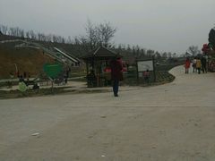 -绵阳盛世樱花悠乐谷