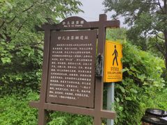 -阳台山自然风景区