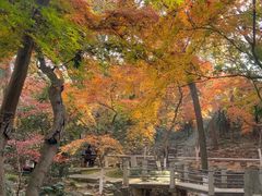 -虞山风景区