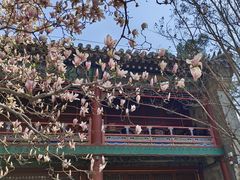 -潭柘寺景区