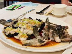 -利苑酒家(华熙国际店)