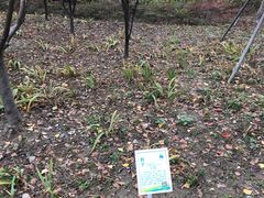 -昆山城市生态森林公园