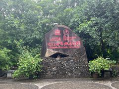 -海口火山口国家地质公园