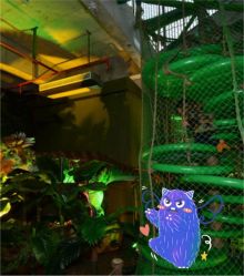 -恐龙探索乐园(磁器口店)