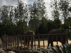 -南昌动物园