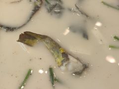 -饭怕鱼(阳光100店)