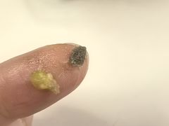 -B&C黄油与面包·THE GARDEN BAKERY概念店(世纪汇店)