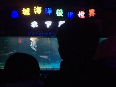 -泉城欧乐堡海洋极地世界