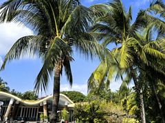 -三亚海棠湾喜来登度假酒店