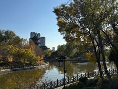 -迎泽公园