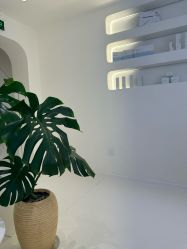 -安那般那皮肤年轻化ANAPANA