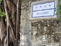 -龙环葡韵住宅式博物馆