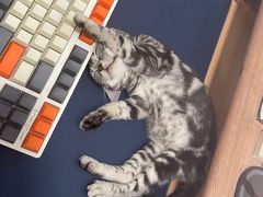 -猫大福·Fortune Cat猫舍(百子湾店)