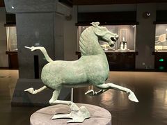 -甘肃省博物馆