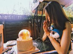 -柴犬高等学院·狗咖·柴犬售卖·宠物训练