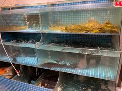 -大鹅岛灶台鱼·铁锅炖(水库路店)