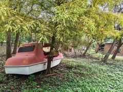 -上海海湾国家森林公园