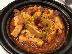 蚝汁海胆有机豆腐煲-北京厨房(SKP店)