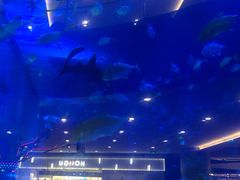 -成都浩海立方海洋公园