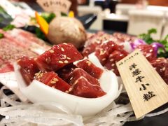 -猫爪爪原切自助烤肉(观音桥阳光世纪店)
