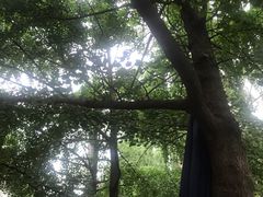 -牛王庙特色面(杏苑公寓店)