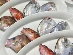 -高佳庄·舟山海鲜(海景旗舰店)