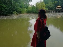 -溱湖国家湿地公园