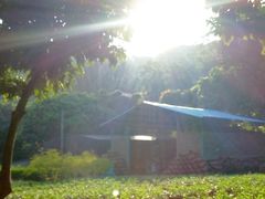 盘山公路-南沙天后宫景区