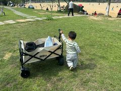 -瑶湖郊野森林公园