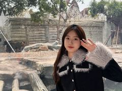 -灵玲国际马戏城