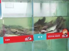 -鱼酷活鱼烤鱼(北美店)