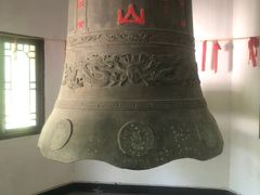 -上海佘山国家森林公园西佘山园